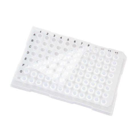 PCR Plate Film