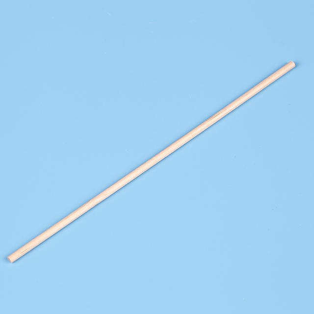 Dry Swab and Wooden Applicator